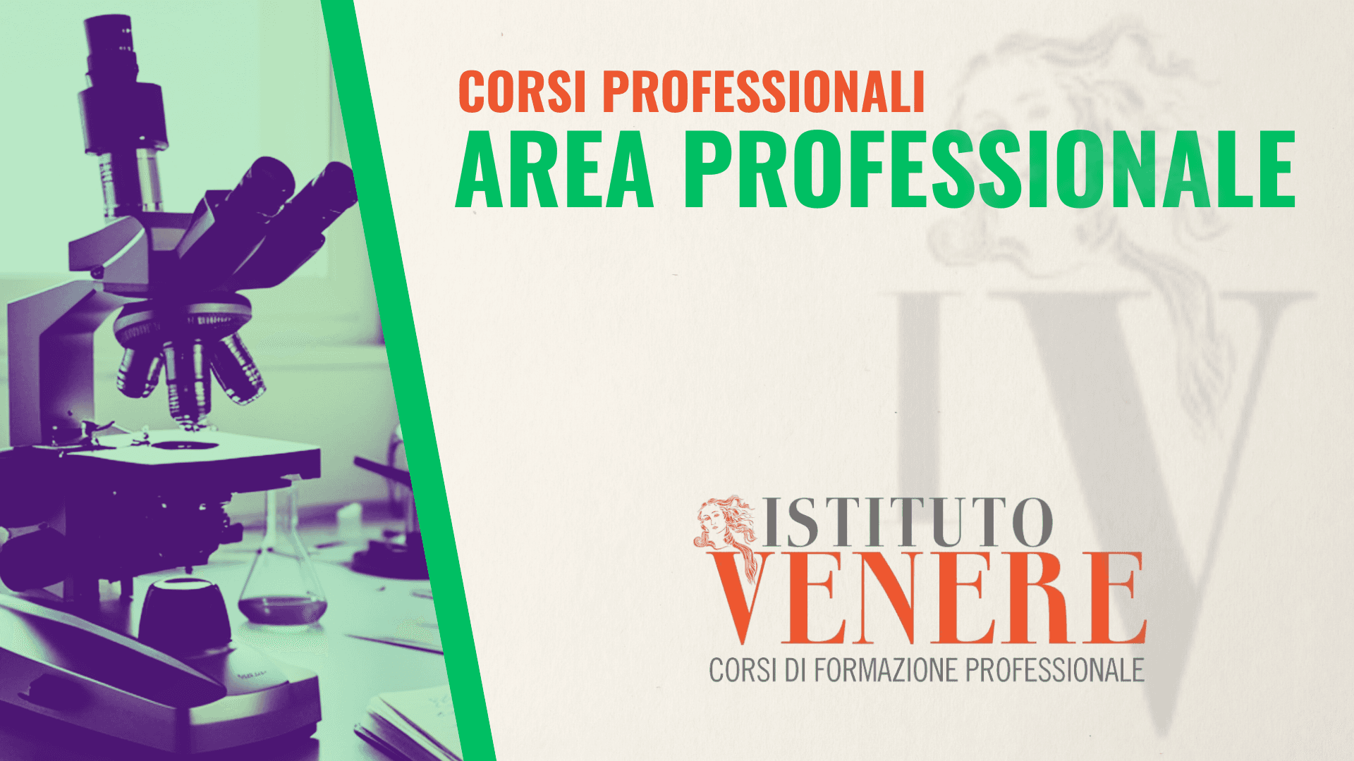 AREA PROFESSIONALE