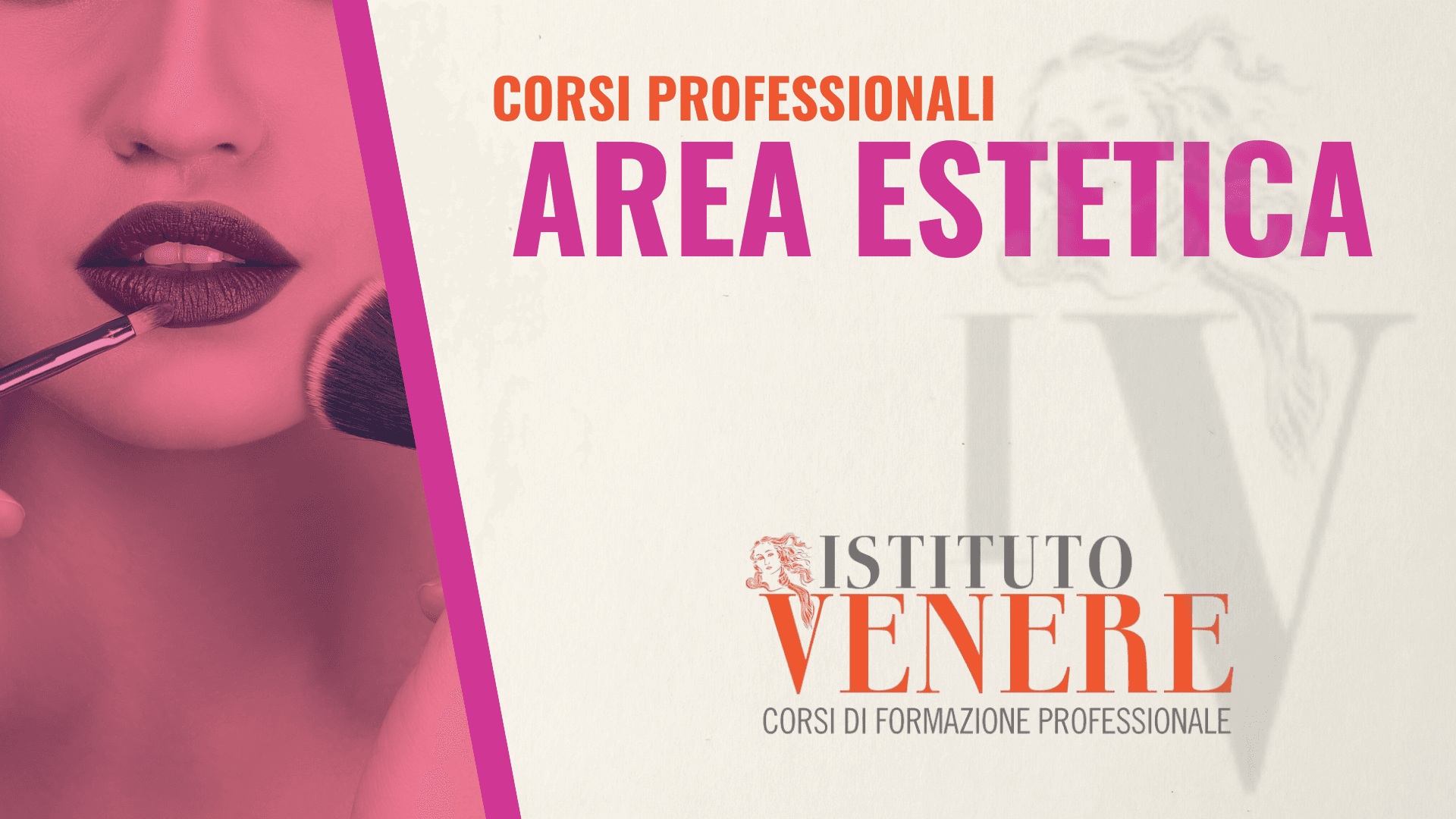 AREA ESTETICA